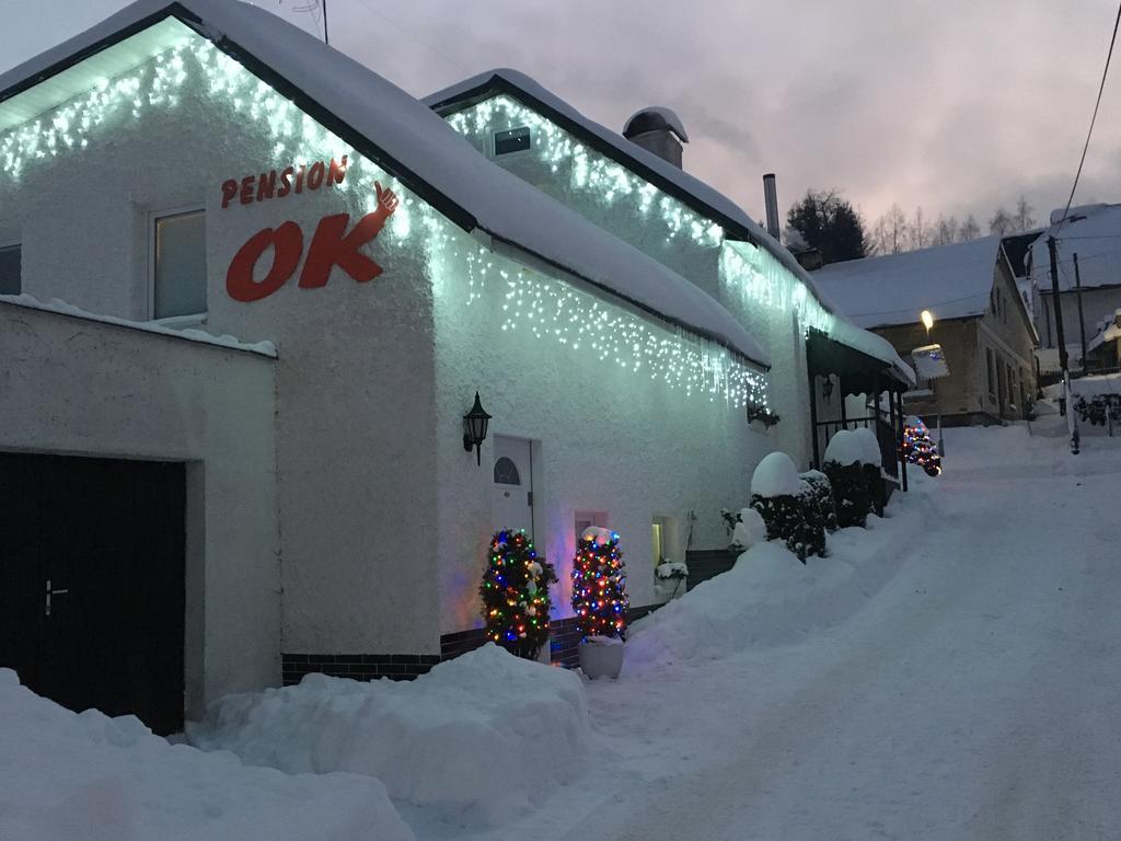 Penzion Ok Svoboda nad Upou Luaran gambar